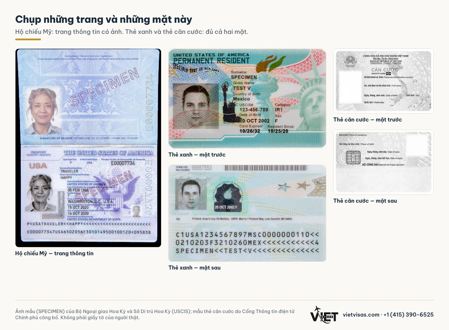 Ảnh mẫu (SPECIMEN): trang thông tin hộ chiếu Mỹ, hai mặt thẻ xanh và hai mặt thẻ căn cước Việt Nam — những trang và mặt cần chụp.